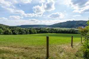 Wiesengrund_